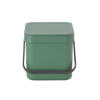Fir Green